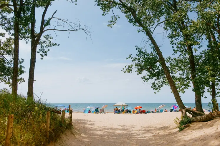 Un sendero de playa de arena enmarcado por altos árboles que conduce a una concurrida orilla del lago salpicada de coloridas sombrillas bajo un cielo despejado.