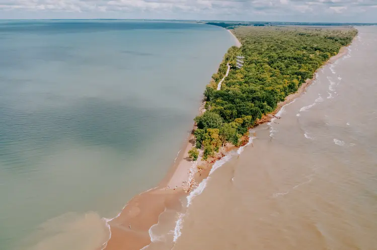 A bird’s-eye view of a narrow forested peninsula, with waves lapping along the sandy shoreline under soft daylight.