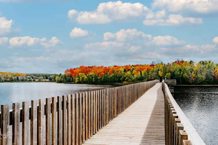 온타리오 주 오렌지빌의 보드워크는 아일랜드 호수 위로 뻗어 있으며, 푸른 흐린 하늘 아래 생동감 넘치는 가을 단풍이 펼쳐져 있습니다.