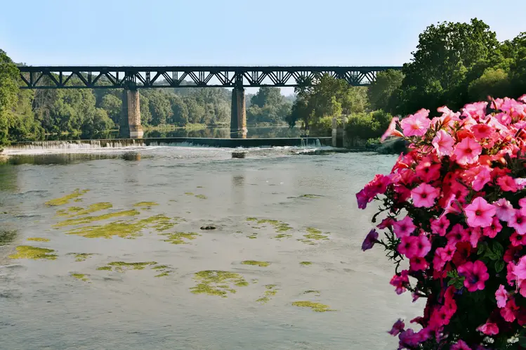 Pont ferroviaire enjambant la rivière Grand à Paris, en Ontario, avec des fleurs roses en fleurs au premier plan et une cascade douce au loin.