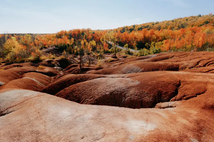 화창한 가을날, 온타리오주 캘러던의 첼트넘 배드랜즈에 있는 붉은 진흙 언덕이 다채로운 단풍으로 둘러싸여 있습니다.