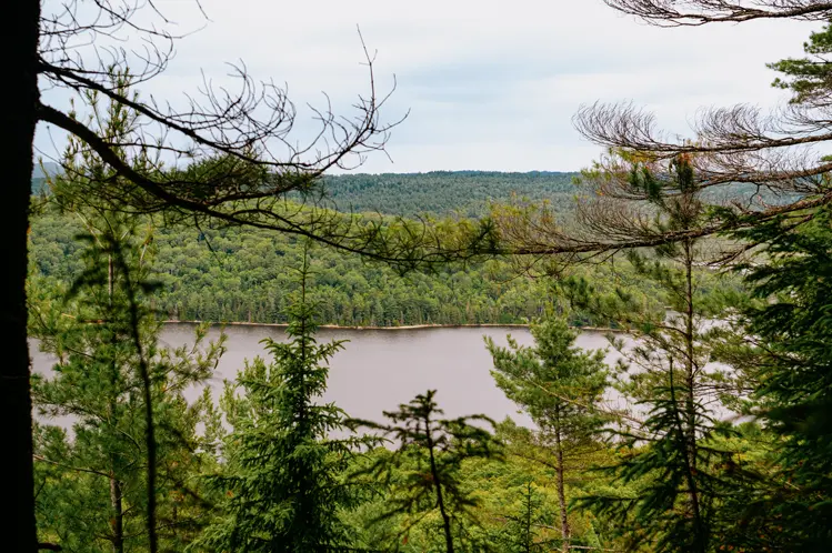  Blick durch dichte Kiefern auf den Helenbar Lake im Mississagi Provincial Park mit bewaldeten Hügeln unter einem bewölkten Himmel.
