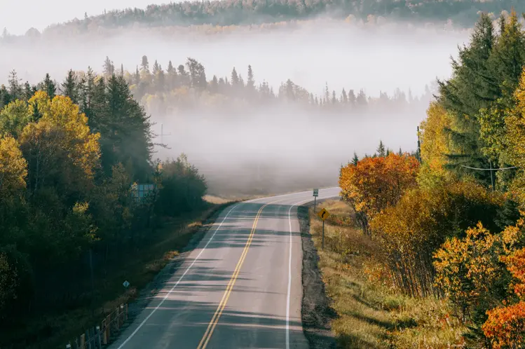 Winding road through a misty forest in Algoma Country, surrounded by early fall foliage and soft morning light.