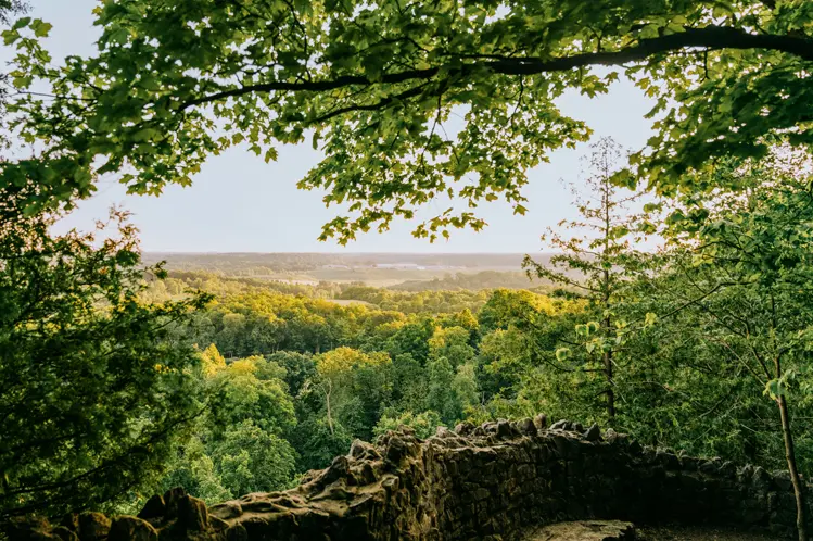 홀튼 힐스의 나무에 둘러싸인 경치 좋은 돌 전망대에서 아래의 숲이 우거진 계곡을 내려다보세요.