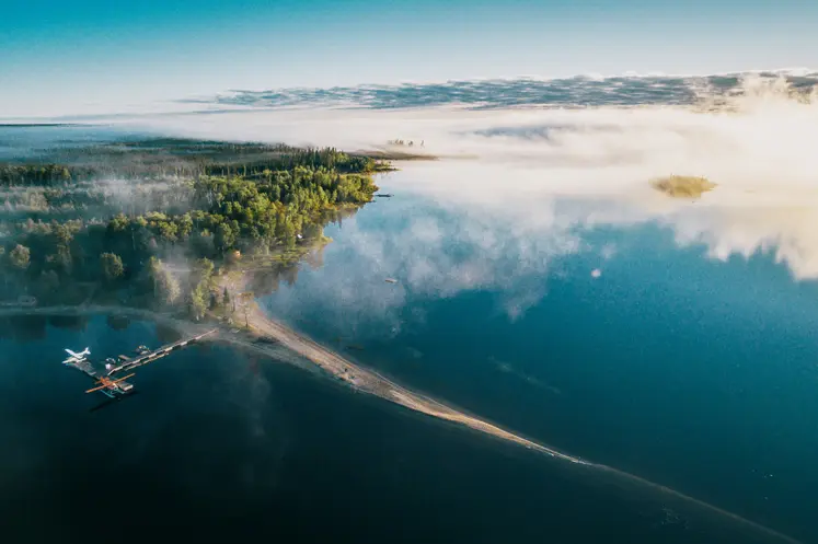 ワバキミ州立公園の航空写真。停泊中の水上飛行機、深い緑の森、日の出の静かな湖面に漂う霧が映っています。