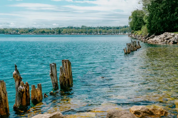 Old wooden dock posts emerging from the clear, shallow waters of Georgian Bay at Spirit Rock Conservation Area, Wiarton, on a sunny summer day.