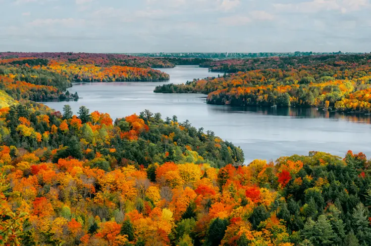 Mirando las colinas de Gatineau y el río Rideau cerca de Ottawa, repletos de vibrantes colores otoñales y costas bordeadas de bosques bajo un cielo nublado.