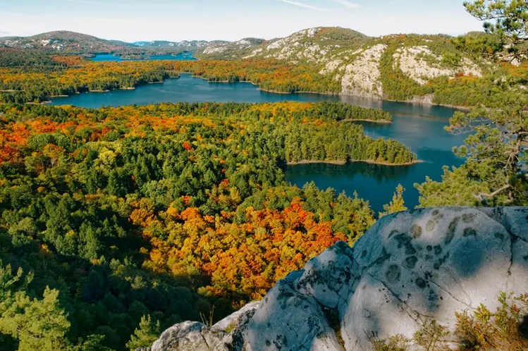 Scenic view of Killarney Provincial Park in Ontario, with bright fall foliage surrounding multiple lakes and white quartzite ridges.