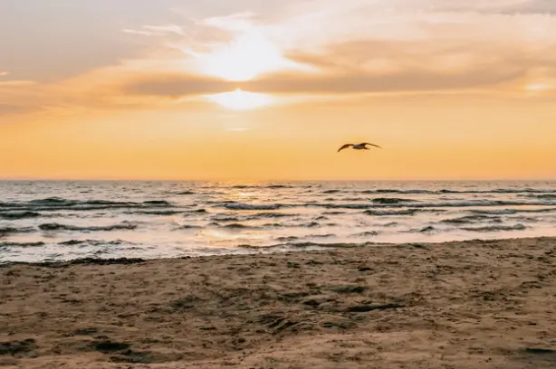 Das große, gewölbte Schild „Willkommen in Sauble Beach“ mit kräftigen roten Buchstaben hebt sich vor einem farbenfrohen Sonnenuntergangshimmel ab.