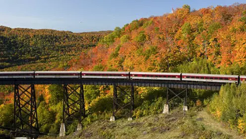Der Agawa Canyon Train überquert eine Brücke durch einen Wald mit wechselnden Blättern