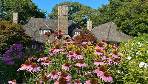 茶色の傾斜した屋根、3つの煙突、木々に囲まれた背景に小さな白い窓がある大きな古い建物。前景はピンク、紫、黄色の花と緑の葉でいっぱいです。