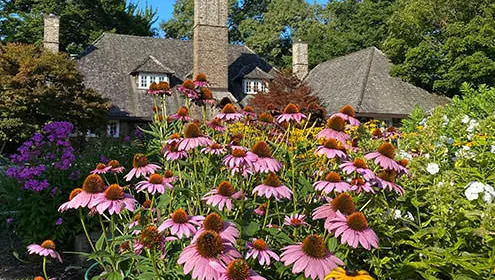 A large older building with brown sloped roofs, 3 chimneys and small white windows in the background surrounded by trees. The foreground is filled with pink, purple and yellow flowers and green foliage.