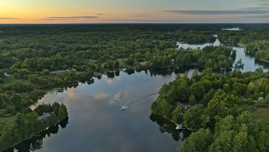 Vue aérienne d'une rivière serpentant à travers une forêt épaisse
