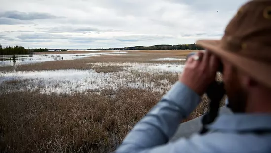 Un homme observe les oiseaux sur un marais avec des jumelles