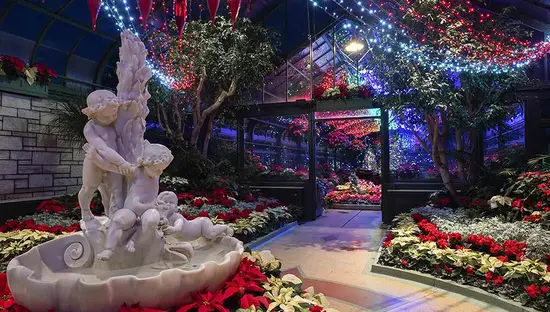 Eine beleuchtete Blumenvitrine für den Innenbereich