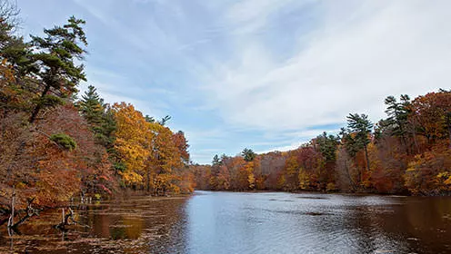 A large pond surrounded by a forest during the fall.