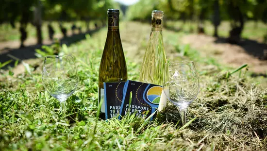 Two wine bottles and wine glasses on the ground at a vineyard