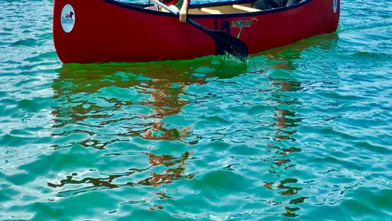 2 canoeists paddling on expanse of water along forested shore