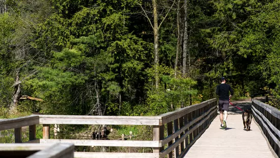 Mann mit Hund überquert die alte Bretterbrücke über die Wasserstraße in Richtung weiter Wälder