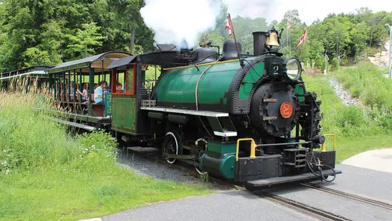 Train à vapeur sur une voie simple avec locomotive qui tire des voitures à ciel ouvert et des touristes qui émergent de la forêt au passage à niveau.