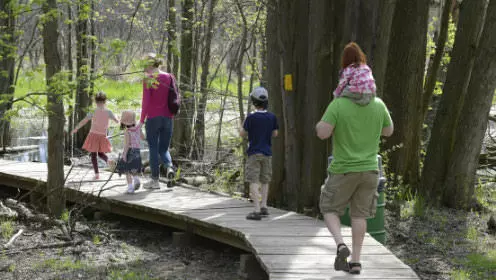 Man and woman and 4 children walking past tree trunks on wooden walkway towards river up ahead