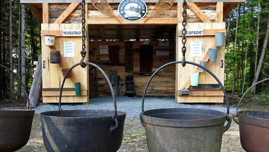 Cuatro ollas grandes de jarabe de arce cuelgan frente a una choza de azúcar