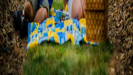 A couple enjoying a picnic in a berry patch