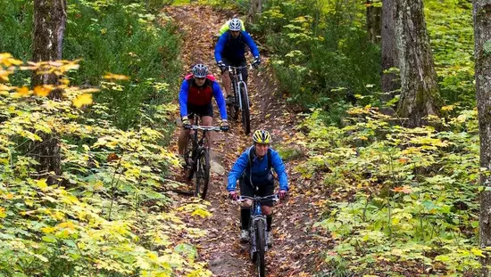 3 cyclistes circulant sur un sentier en forêt.