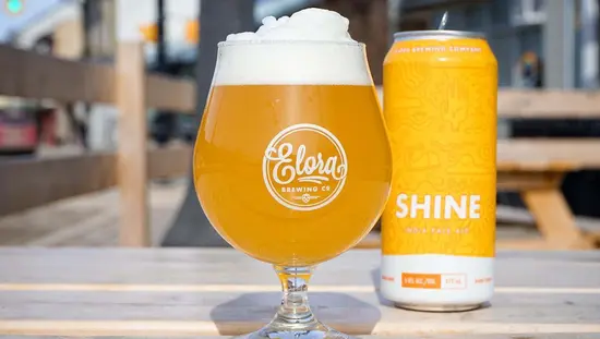 Un refrescante vaso de cerveza con espuma junto a una lata de cerveza en una mesa de picnic