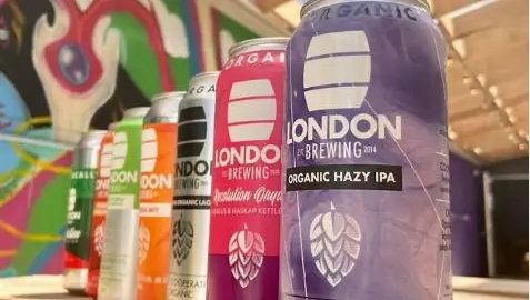  Sept canettes de bières différentes alignées sur une table