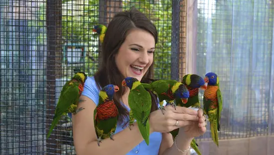 Woman surrounded by a variety of exotic birds