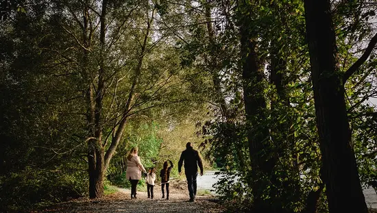 A family of four taking a stroll in a forest