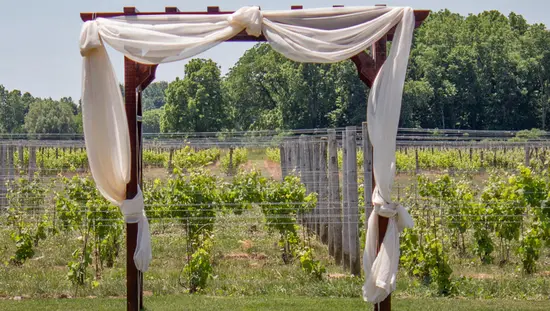 White fabric adorns a pergola in front of a vineyard