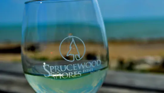 Gros plan d'un verre de vin blanc avec le lac en arrière-plan