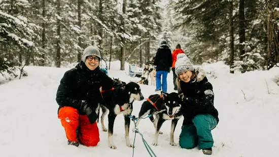 A man and a woman are both smiling and posing with two husky dogs.