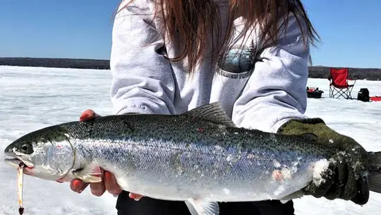Une femme tient un gros poisson à tête blanche pris sur un lac gelé