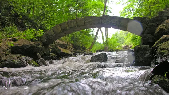 Water rushing over rocks in a forest.
