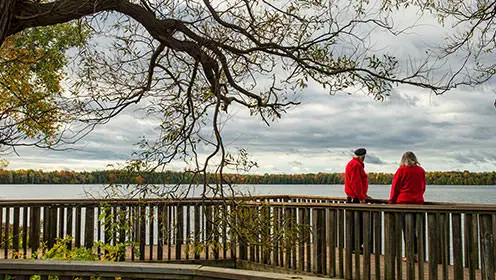 A couple standing on a boardwalk, under a tree looking out at the lake. The trees on the shore in the distance are a mix of green and yellow.