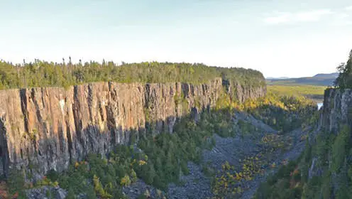 A wide canyon with many trees under a clear sky.