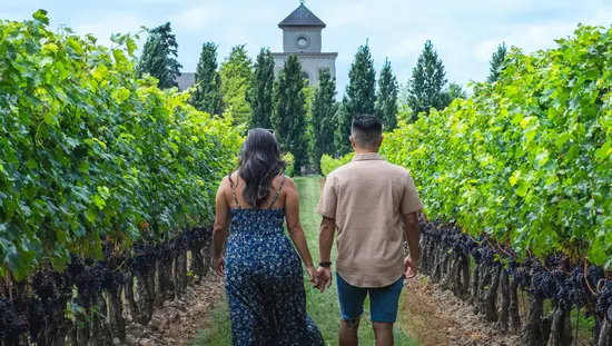 Una pareja camina por un viñedo en Two Sisters Winery en Niagara-on-the-Lake.