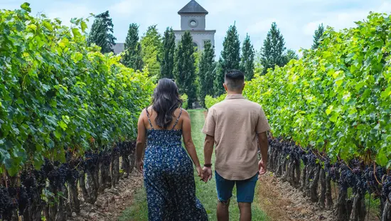 한 커플이 나이아가라 온 더 레이크에 있는 투 시스터스 와이너리의 포도원을 산책하고 있다.