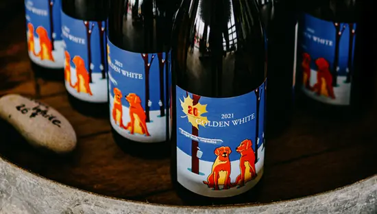Botellas de vino "2021 Golden White" con etiquetas azules que representan dos golden retrievers, colocados en un barril de madera, en Sugarbush Vineyards & Winery.