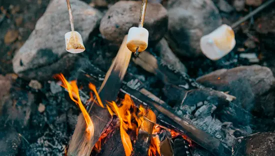 Marshmallows werden über einem knisternden Lagerfeuer geröstet, mit glühenden Flammen und Steinen, die die Feuerstelle umgeben.