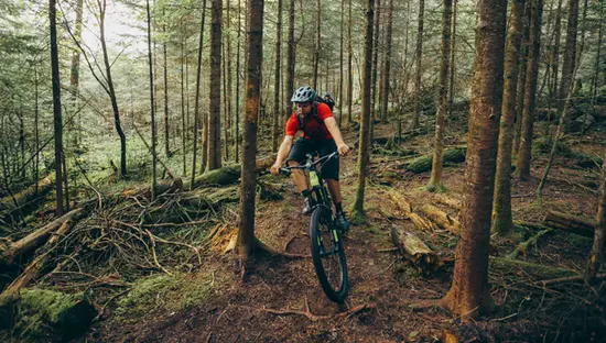 マウンテンバイクに乗る人が、木々や苔むした地面に囲まれた、オンタリオ州ケノラの険しい森林の小道を走っています。