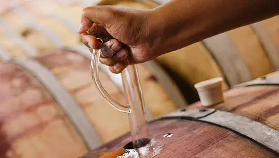 Una mano que utiliza un ladrón de vino para probar vino tinto de un barril en Burning Kiln Winery en el suroeste de Ontario, con más barriles en el fondo.