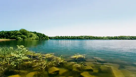 Costa clara en Grass Creek Park Beach, con aguas tranquilas y una exuberante línea de árboles bajo un intenso cielo azul de verano.