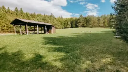 A grassy field with a wooden shelter and picnic tables, surrounded by trees at Souls Path Retreats in Blackstock, Ontario. 
