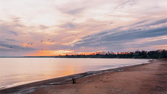 Sonnenaufgang über dem Seacliff Park Beach in Leamington, Ontario, mit weichen Wolken, ruhigem Wasser und Vögeln, die über den pastellfarbenen Himmel fliegen.