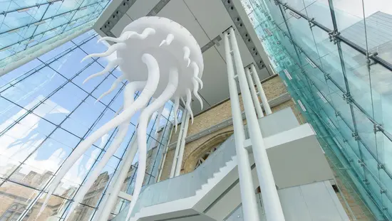 Ausstellung einer Riesenqualle im Canadian Museum of Nature in Ottawa.