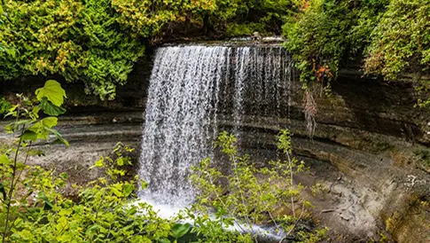 Waterfall surrounded by greenery as it cascades to a pool at the bottom.